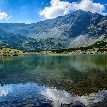 Pm Services Royal Plaza Daire