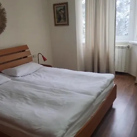 Pm Services Royal Plaza * Borovec